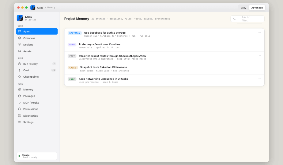 Project memory — decisions, rules, facts, causes and preferences